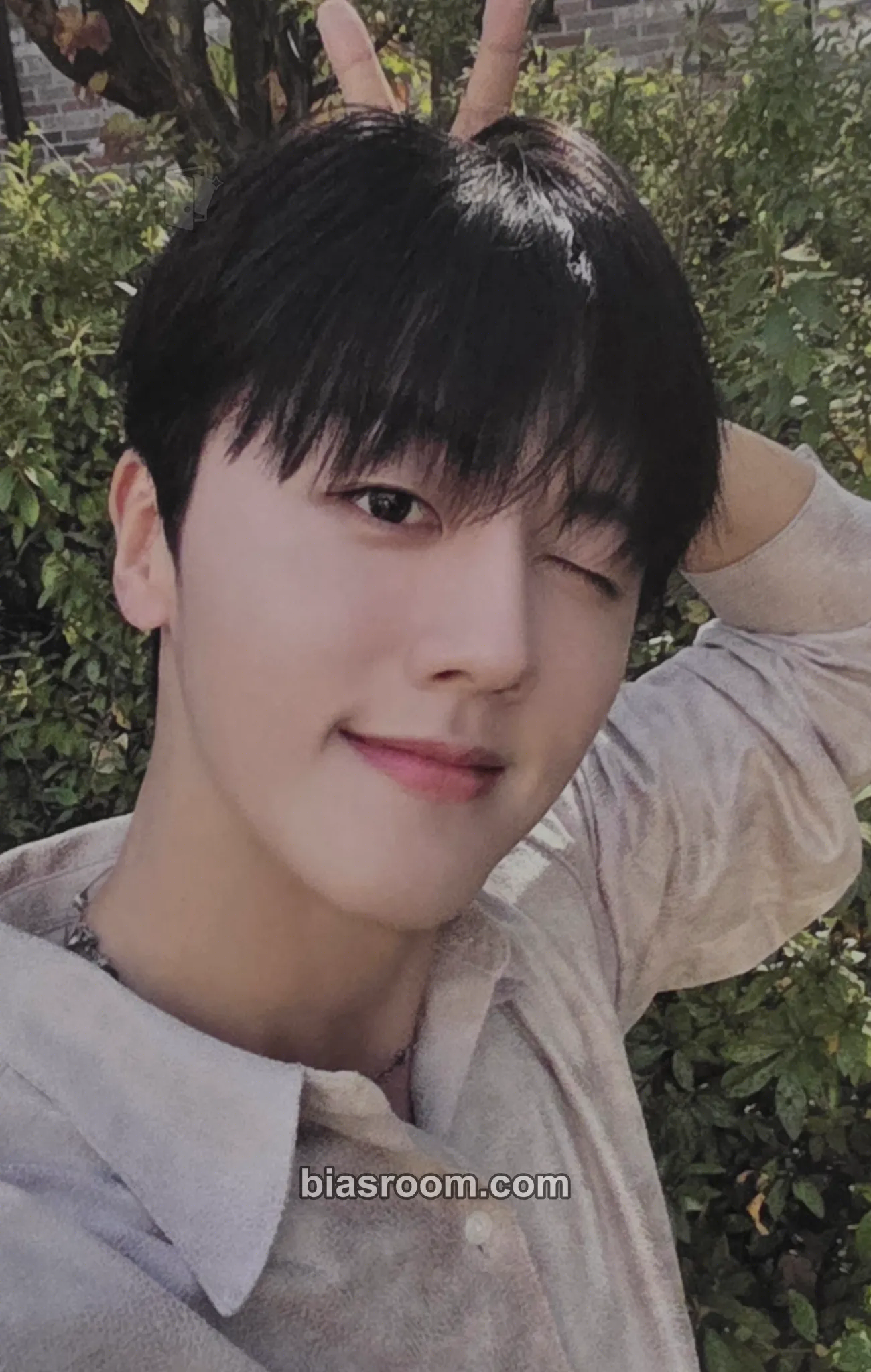 Youngbin Sequence Photocard - SF9 - SF9 K-pop photocard