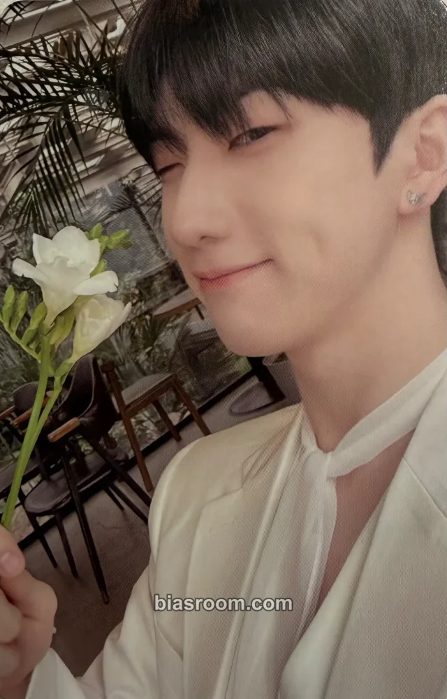 JustB - DY - Just Begun Album album photocard