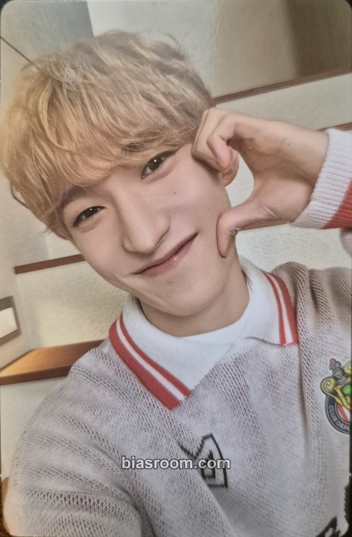 DK 2024 8TH SVT IN CARAT LAND Photocard - SEVENTEEN - SEVENTEEN K-pop photocard