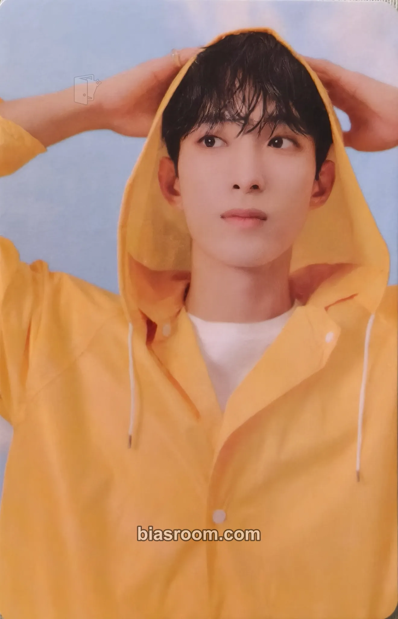 DK Seventeenth Heaven Photocard - SEVENTEEN - SEVENTEEN K-pop photocard