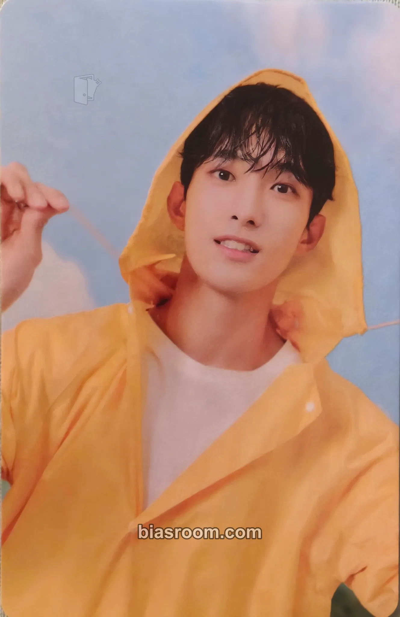 DK Seventeenth Heaven Photocard - SEVENTEEN - SEVENTEEN K-pop photocard