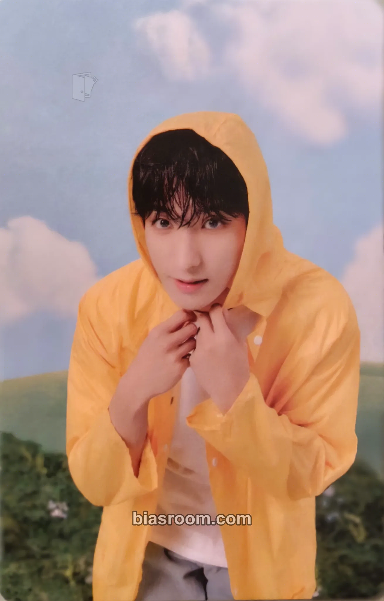 DK Seventeenth Heaven Photocard - SEVENTEEN - SEVENTEEN K-pop photocard