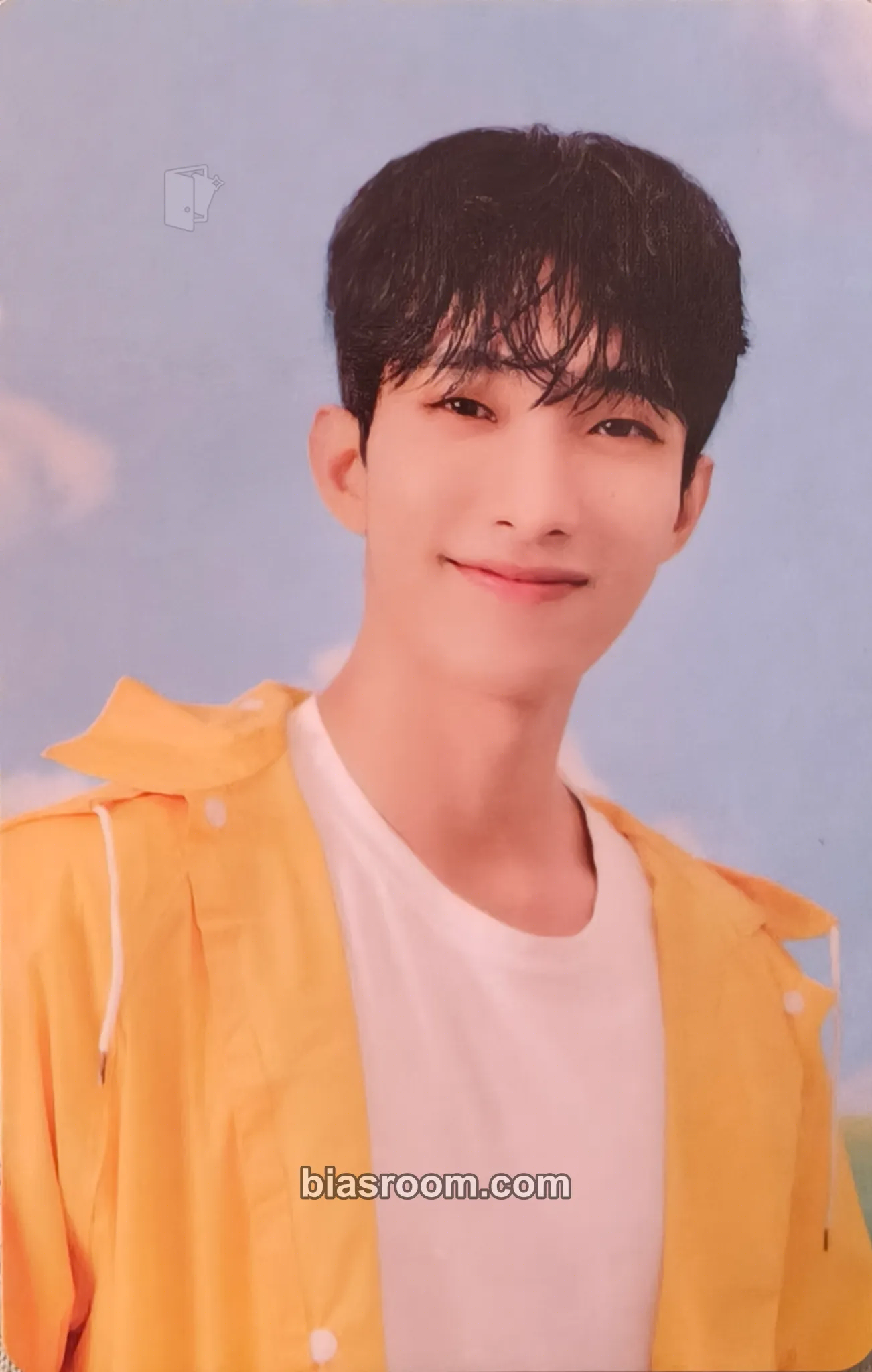 DK Seventeenth Heaven Photocard - SEVENTEEN - SEVENTEEN K-pop photocard
