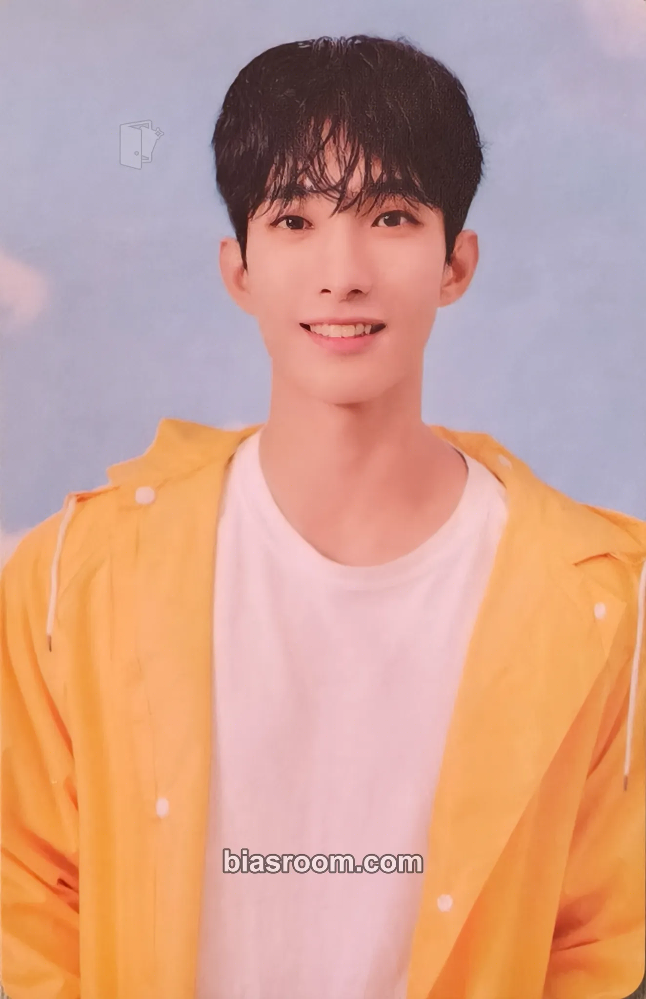 DK Seventeenth Heaven Photocard - SEVENTEEN - SEVENTEEN K-pop photocard