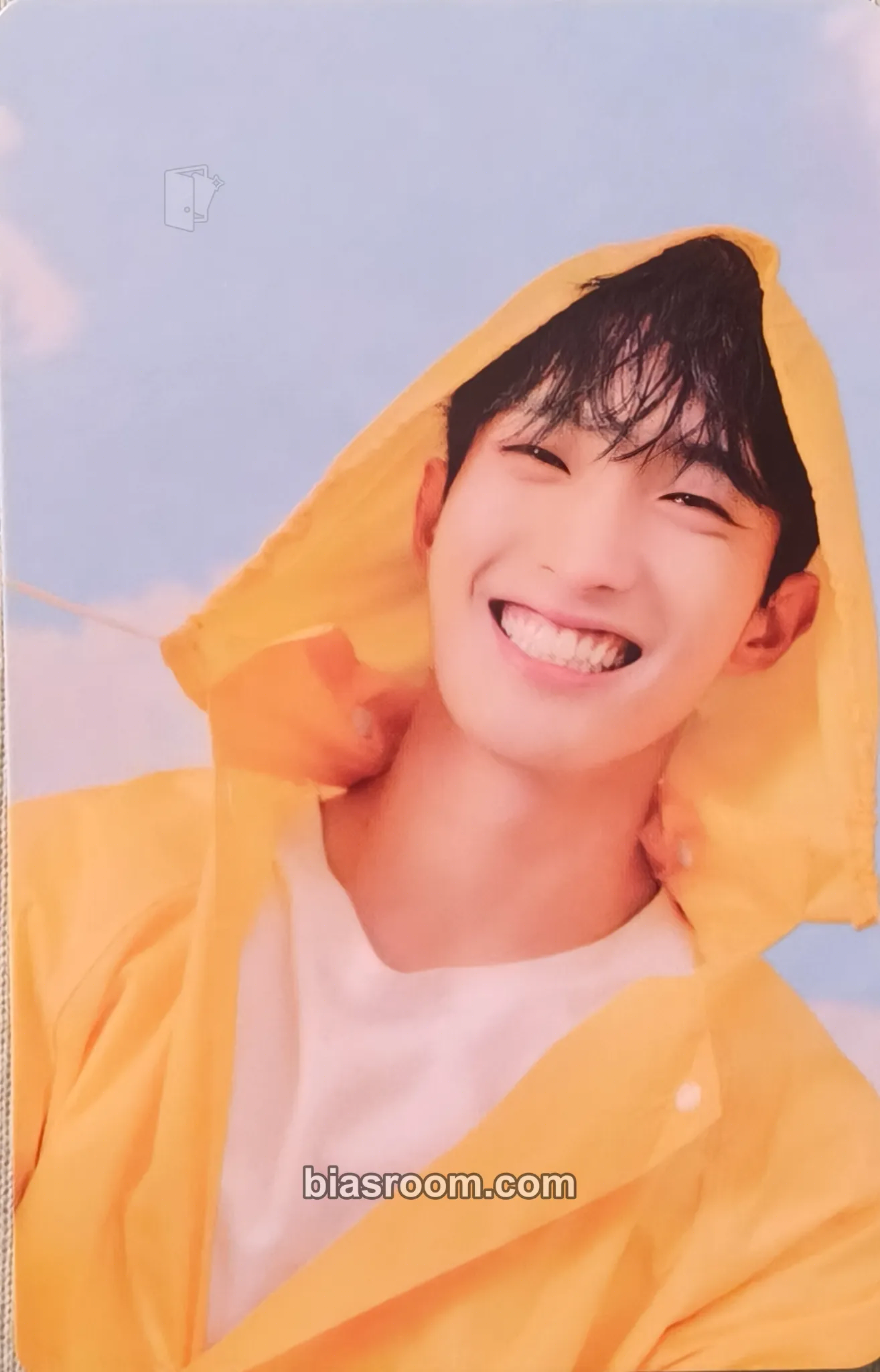 DK Seventeenth Heaven Photocard - SEVENTEEN - SEVENTEEN K-pop photocard