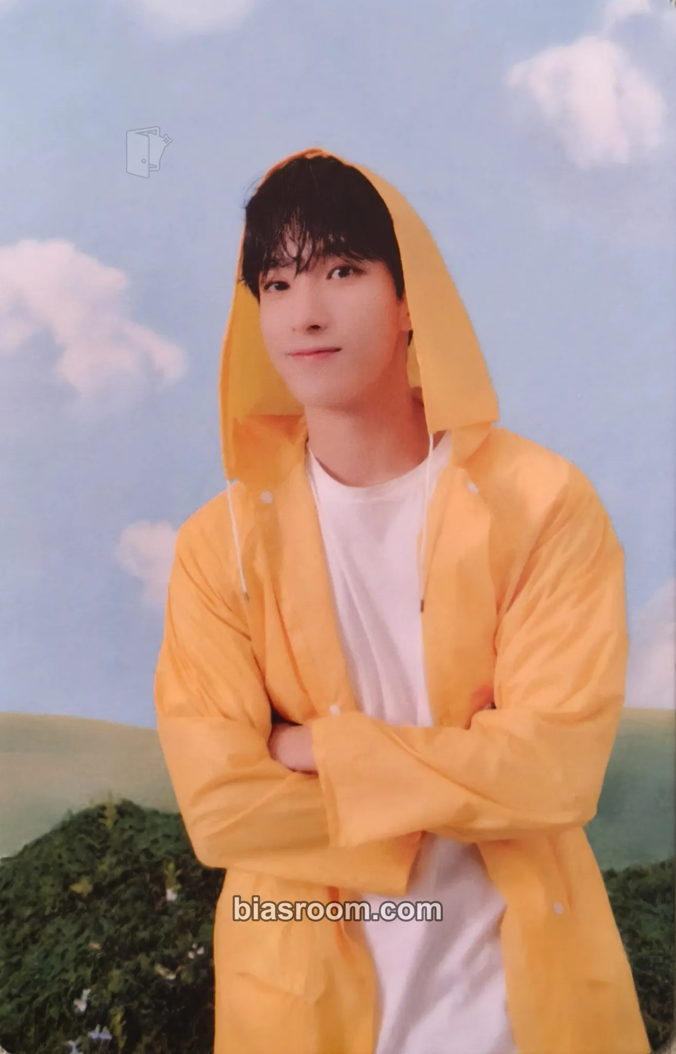DK Seventeenth Heaven Photocard - SEVENTEEN - SEVENTEEN K-pop photocard