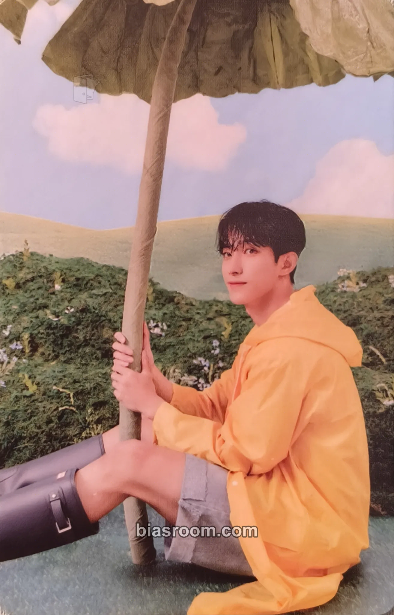 DK Seventeenth Heaven Photocard - SEVENTEEN - SEVENTEEN K-pop photocard