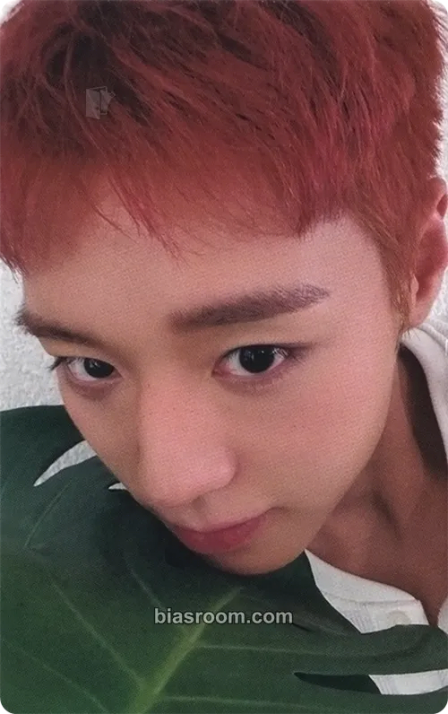 Jihoon RE:FLECT Photocard - Park Jihoon - Park Jihoon K-pop photocard
