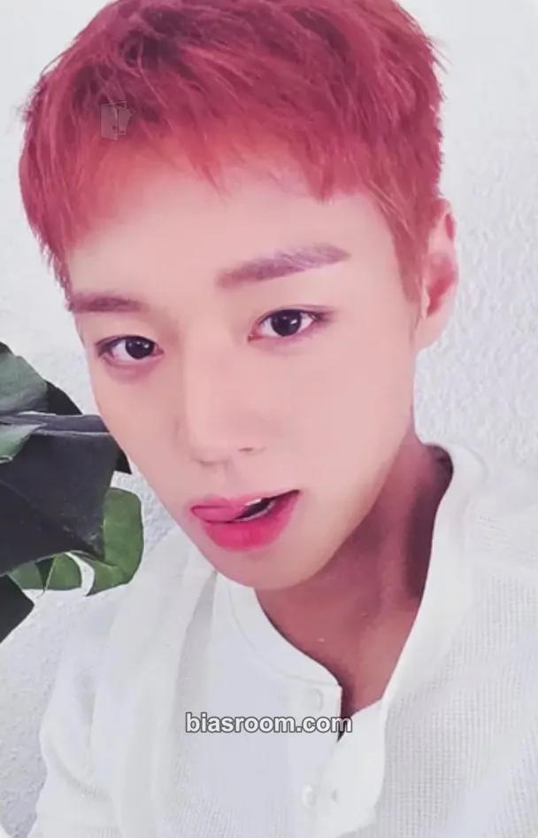 Jihoon RE:FLECT Photocard - Park Jihoon - Park Jihoon K-pop photocard