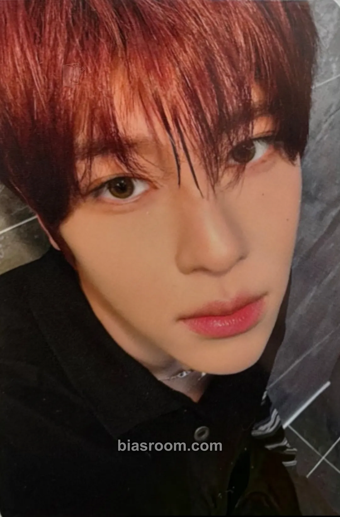 Sion SM ARTIST BIRTHDAY OFFICIAL MD Photocard - NCT - NCT K-pop photocard