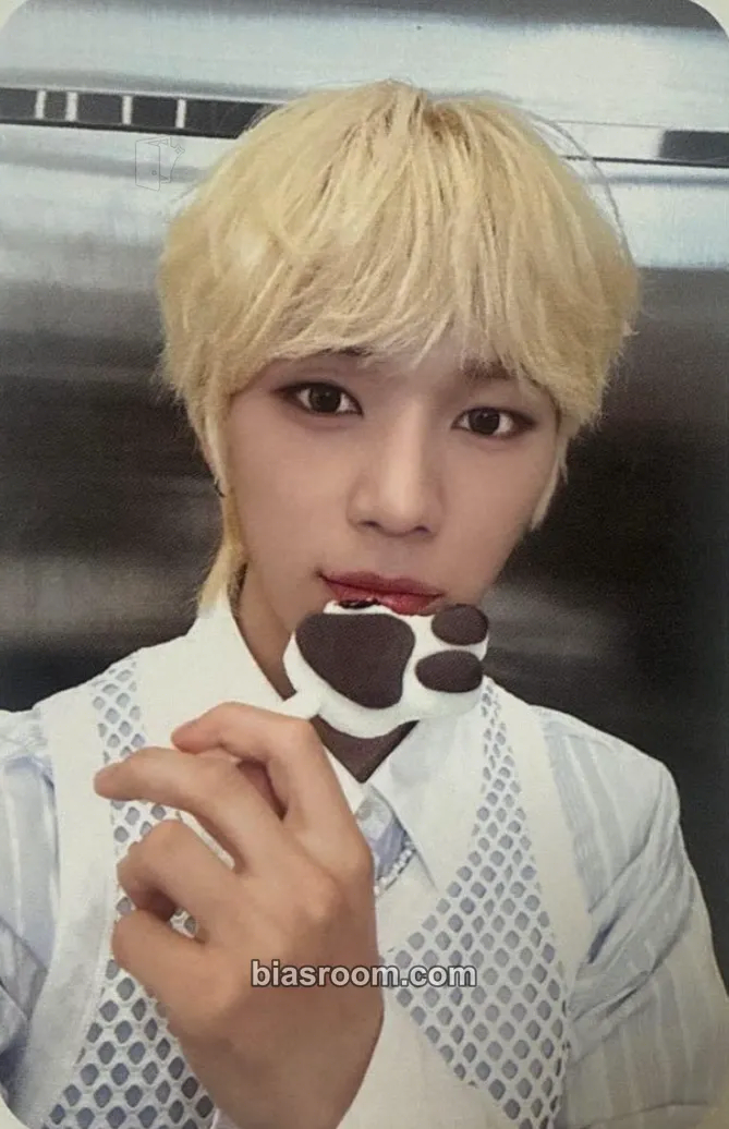 So Geon Japan Debut 1st Anniversary Pop-up Store "1st SCOOP" Photocard - NEXZ - NEXZ K-pop photocard