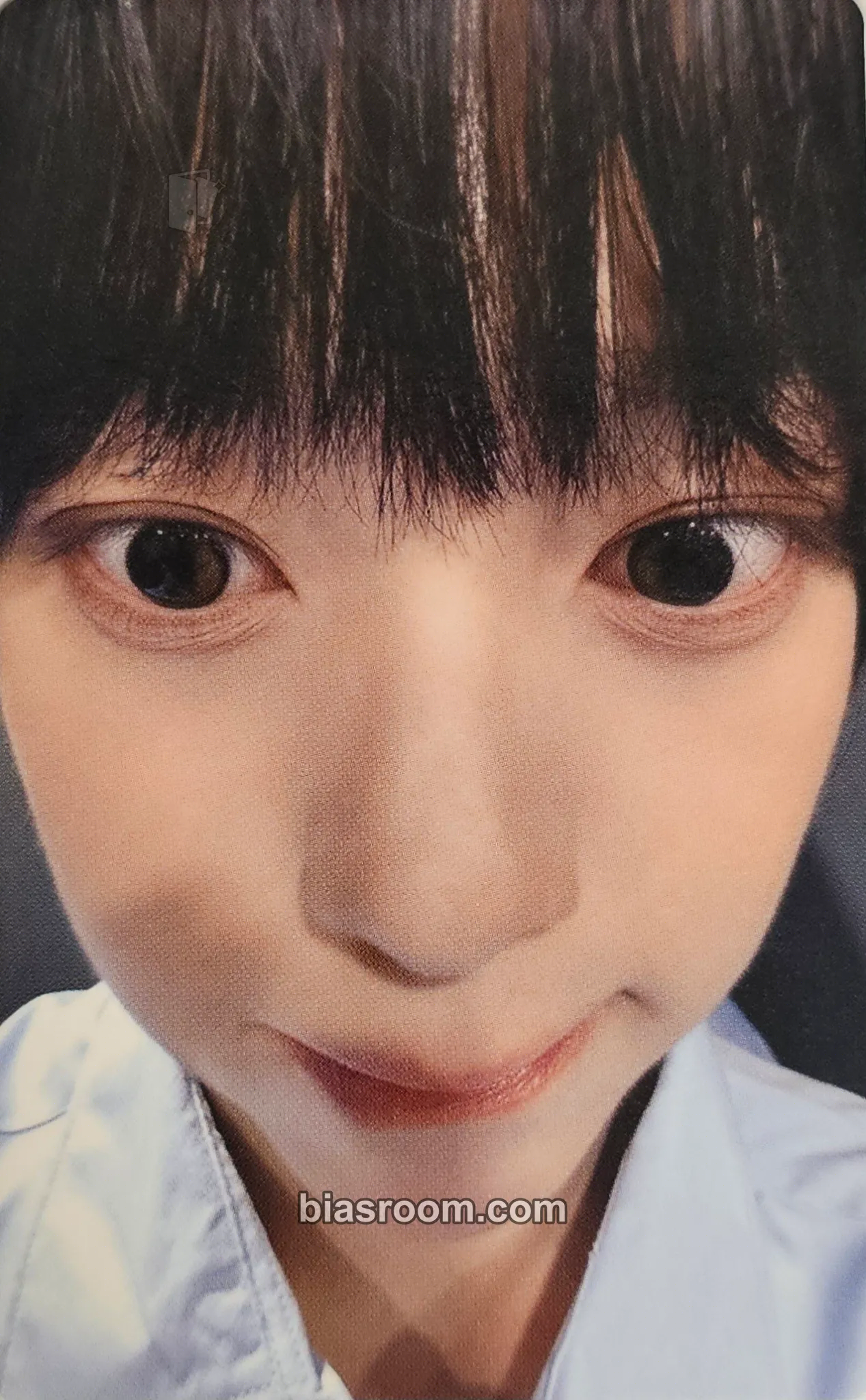 Chih En WHO WE ARE Photocard - AHOF - AHOF K-pop photocard