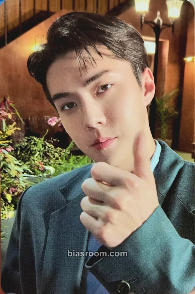 EXO - Sehun - EXO's 11th Debut Anniversary MD Other merch photocard 11th anniversary lucky card set
