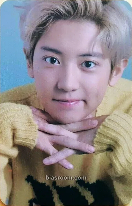 Chanyeol Artist&FLO <EXO> Photocard - EXO - EXO K-pop photocard