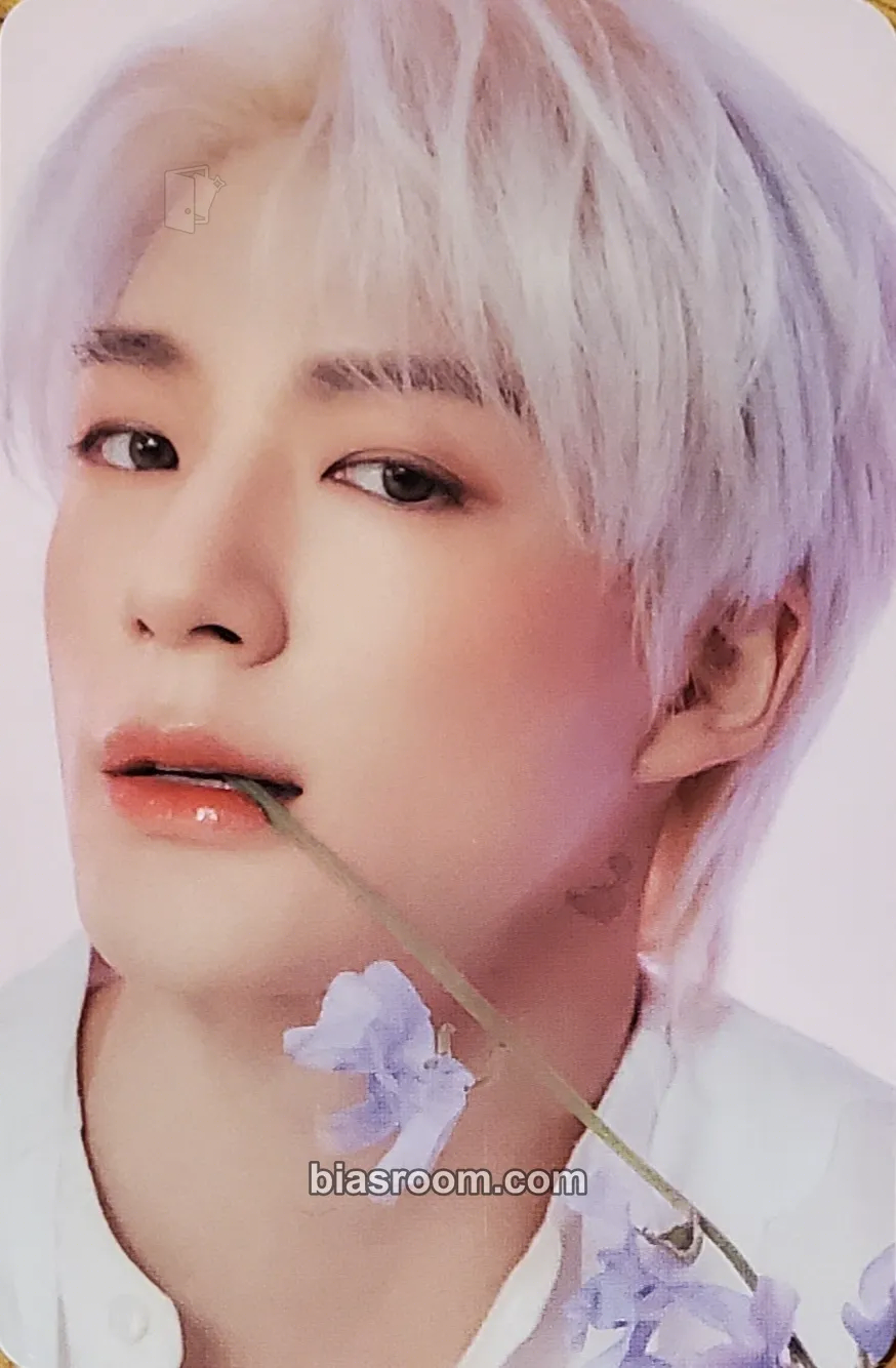 Jeno CANDYLAB X NCT DREAM Photocard - NCT DREAM - NCT DREAM K-pop photocard