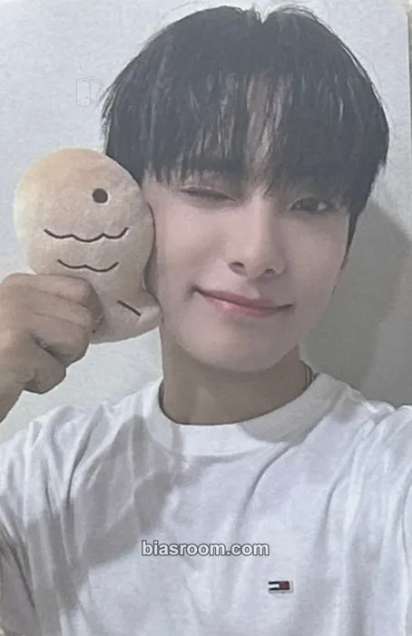 Park Junhee PINATA Photocard - A.C.E - A.C.E K-pop photocard