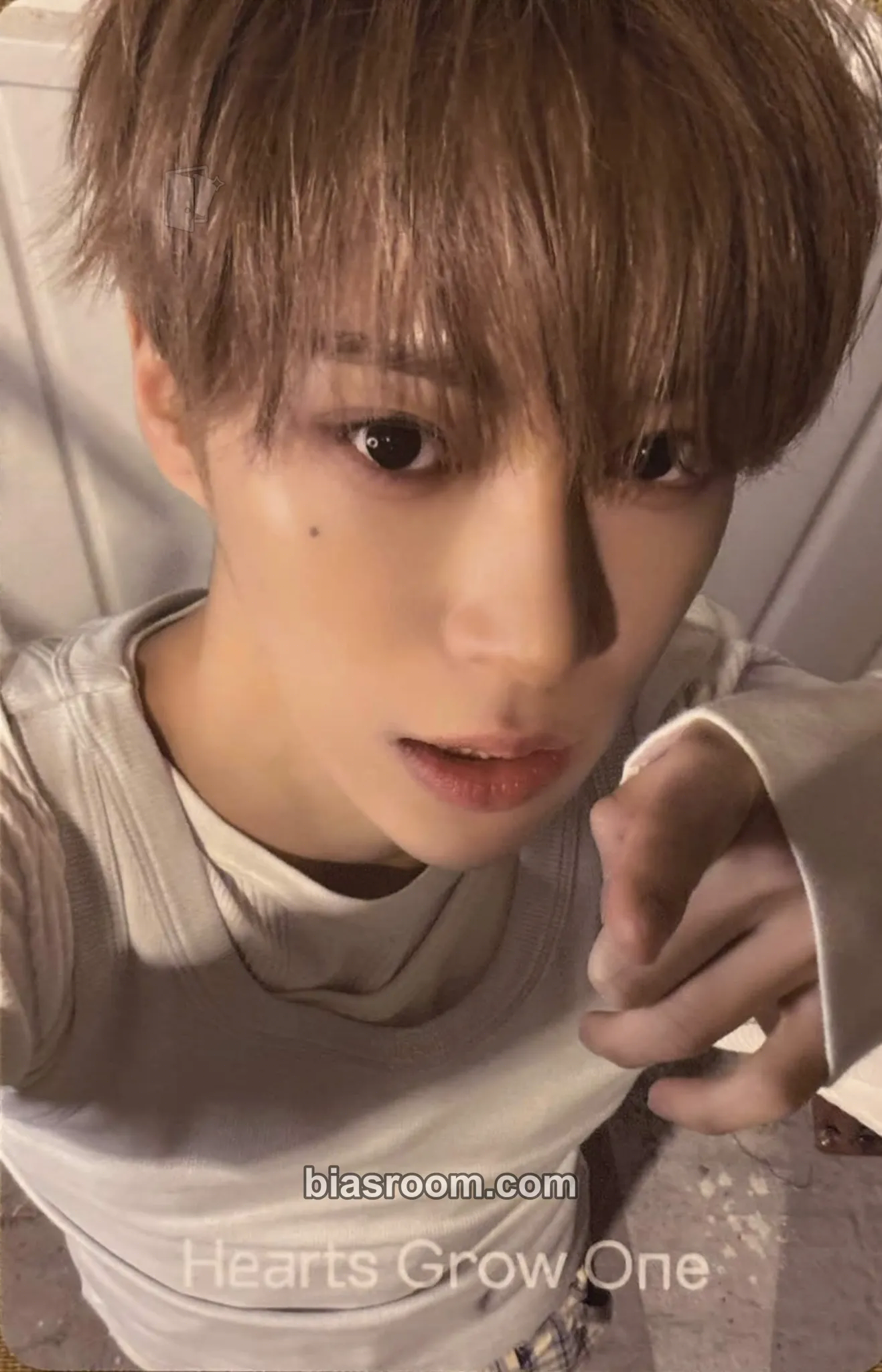 Arno DICON VOLUME Nº33 Photocard - ALPHA DRIVE ONE - ALPHA DRIVE ONE K-pop photocard
