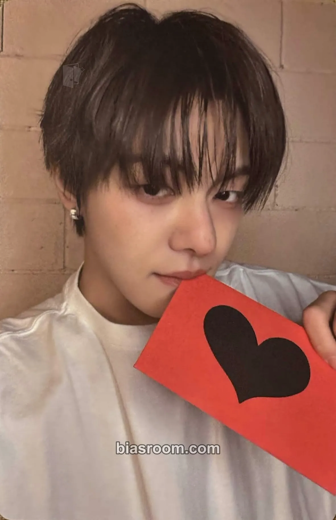 Leo DICON VOLUME Nº33 Photocard - ALPHA DRIVE ONE - ALPHA DRIVE ONE K-pop photocard