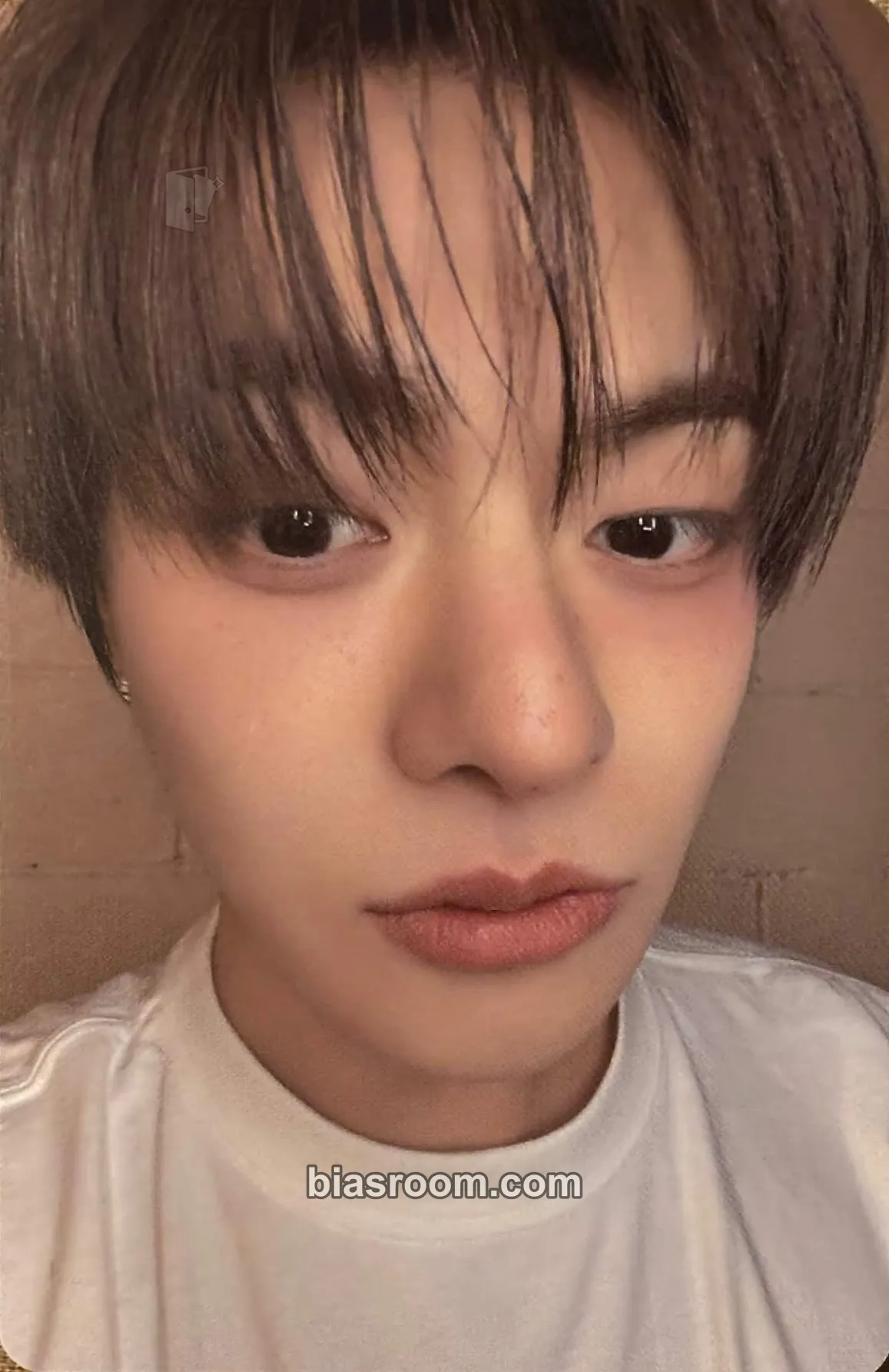 Leo DICON VOLUME Nº33 Photocard - ALPHA DRIVE ONE - ALPHA DRIVE ONE K-pop photocard