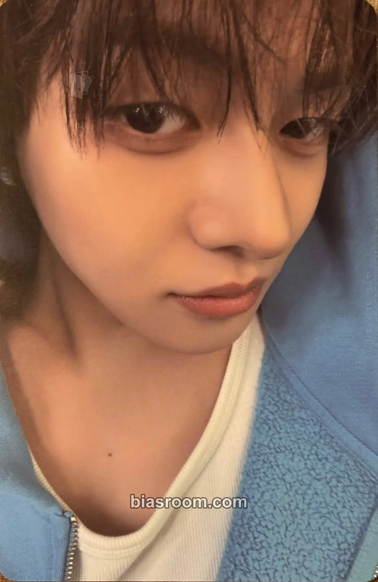 Leo DICON VOLUME Nº33 Photocard - ALPHA DRIVE ONE - ALPHA DRIVE ONE K-pop photocard