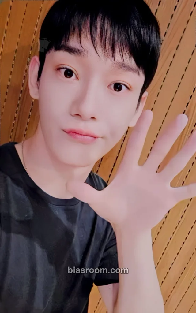 EXO - Chen - Door Album fansign beijing withfans / yizhiyu (yzy)