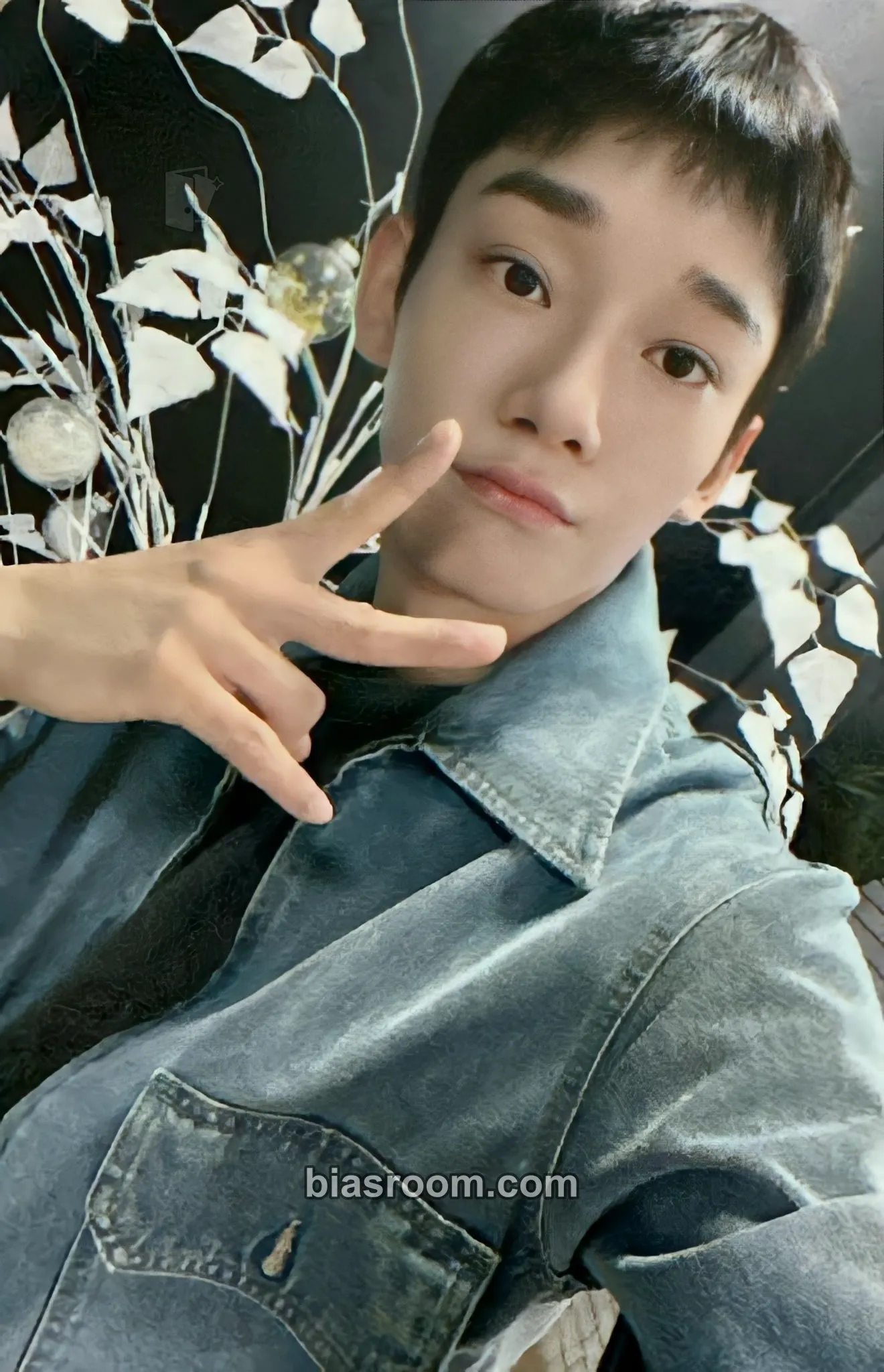 Chen 2024 CHEN FANCON Asia Tour <Beyond the DOOR> Photocard - EXO - EXO K-pop photocard