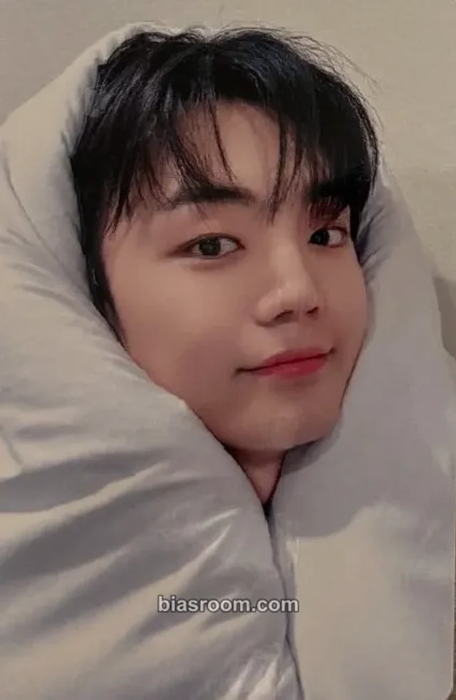 A.C.E - Kang Yuchan - A.C.E 2025 SEASONS GREETINGS: A Peek Into Squad A.C.E Other fansign season's greetings