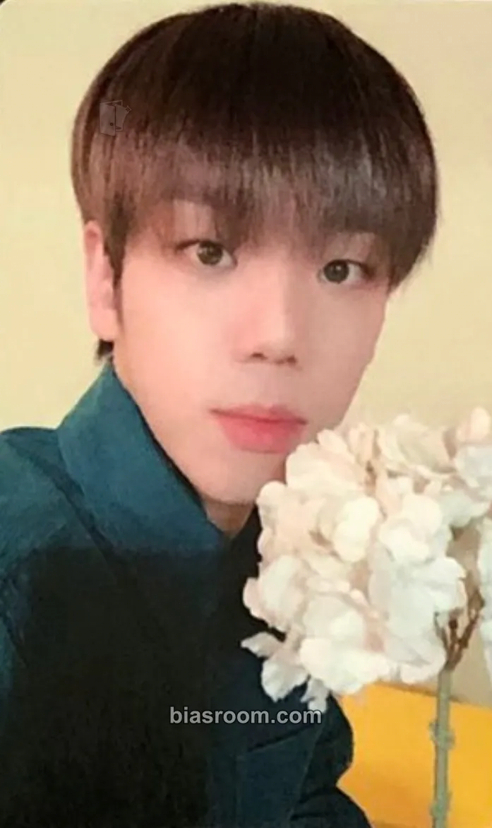 Kim Byeongkwan A.C.E 2021 Valentine's Day Photocard - A.C.E - A.C.E K-pop photocard