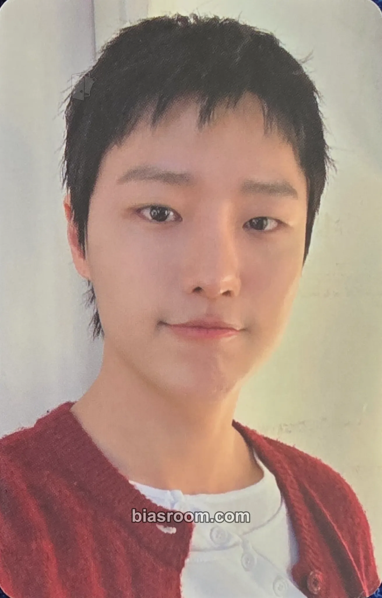 WOODZ Archive. 1 Photocard - WOODZ K-pop photocard