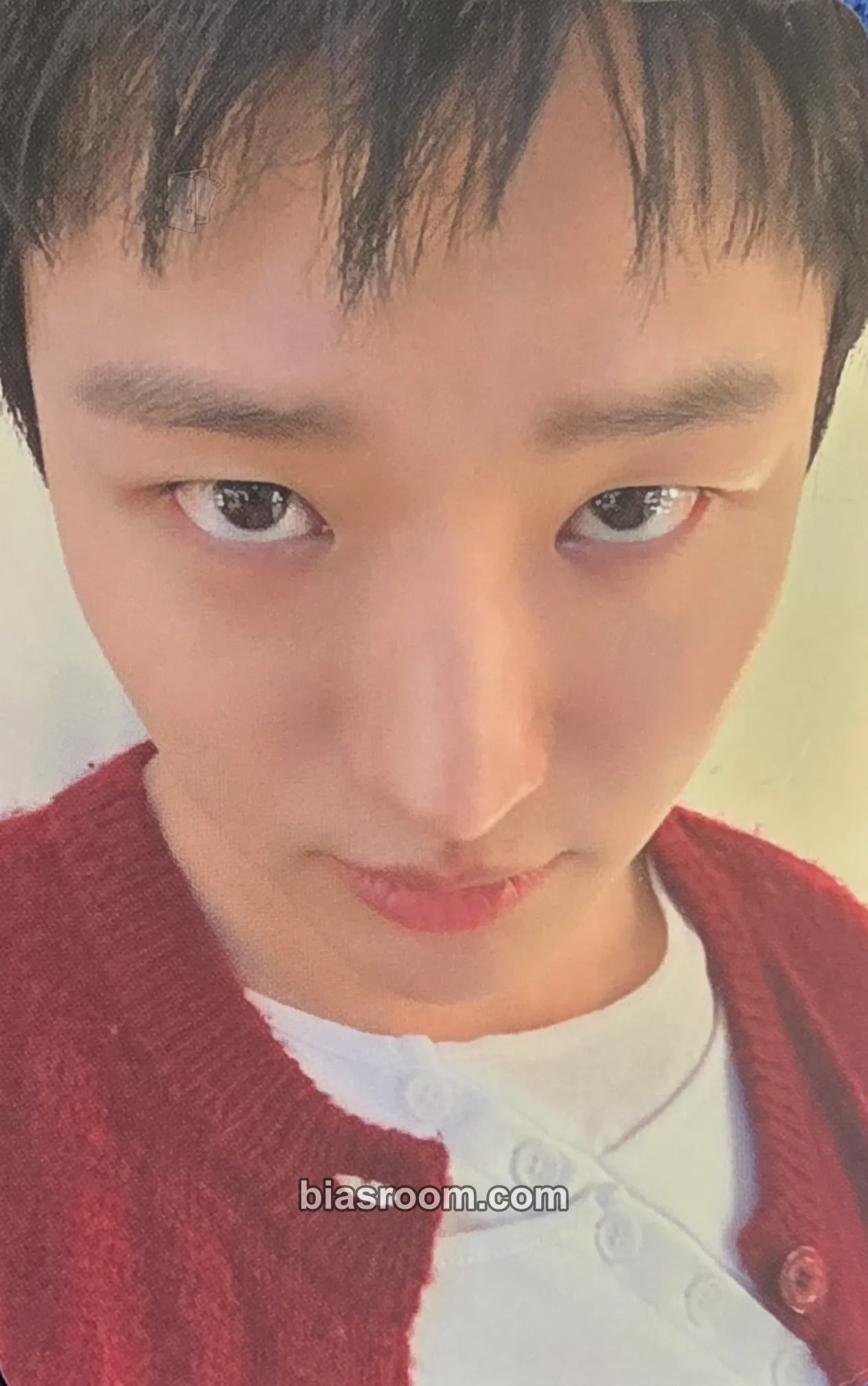 WOODZ Archive. 1 Photocard - WOODZ K-pop photocard