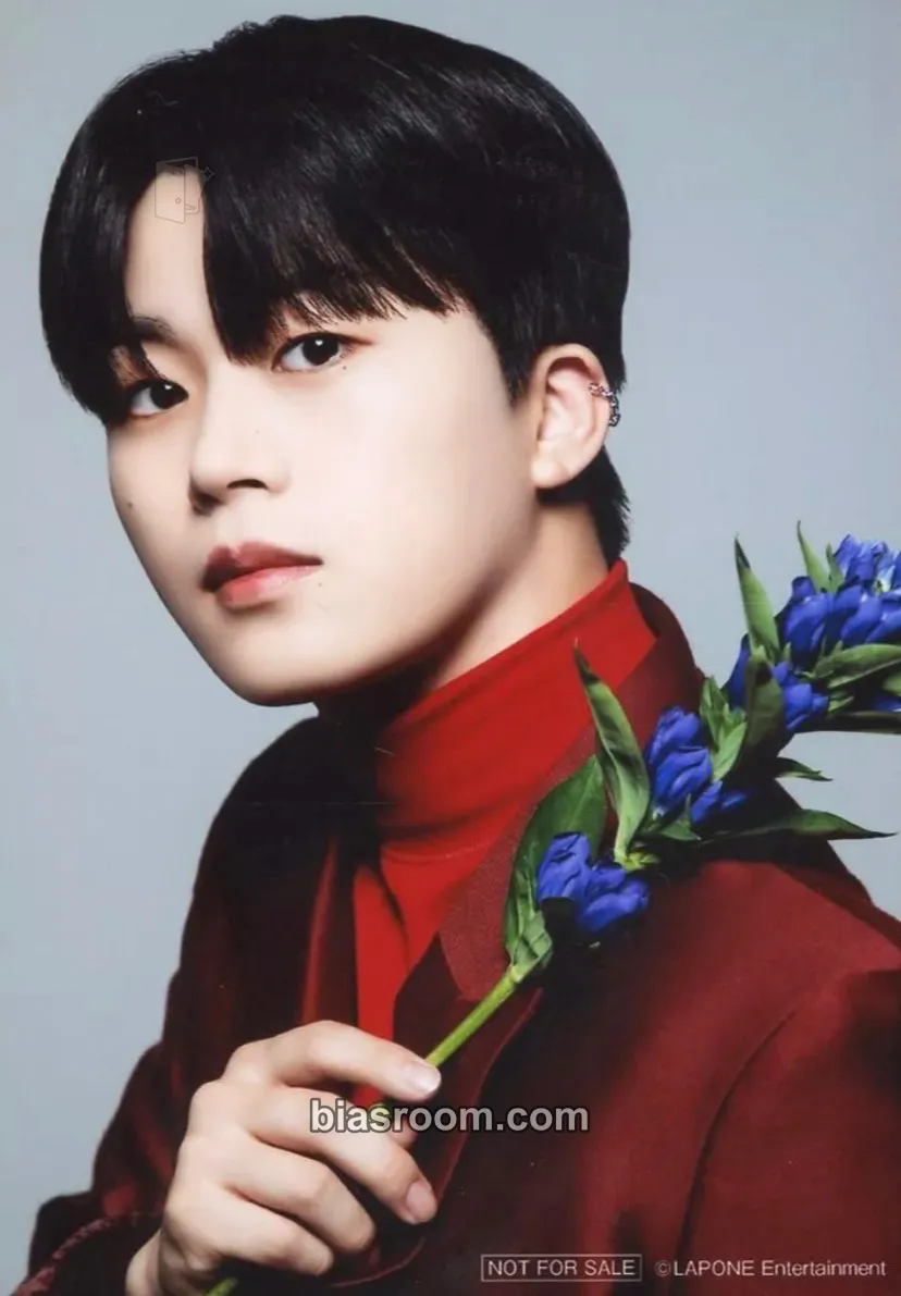 Syoya Kimata JO1 CALENDAR 2024 Photocard - JO1 - JO1 K-pop photocard