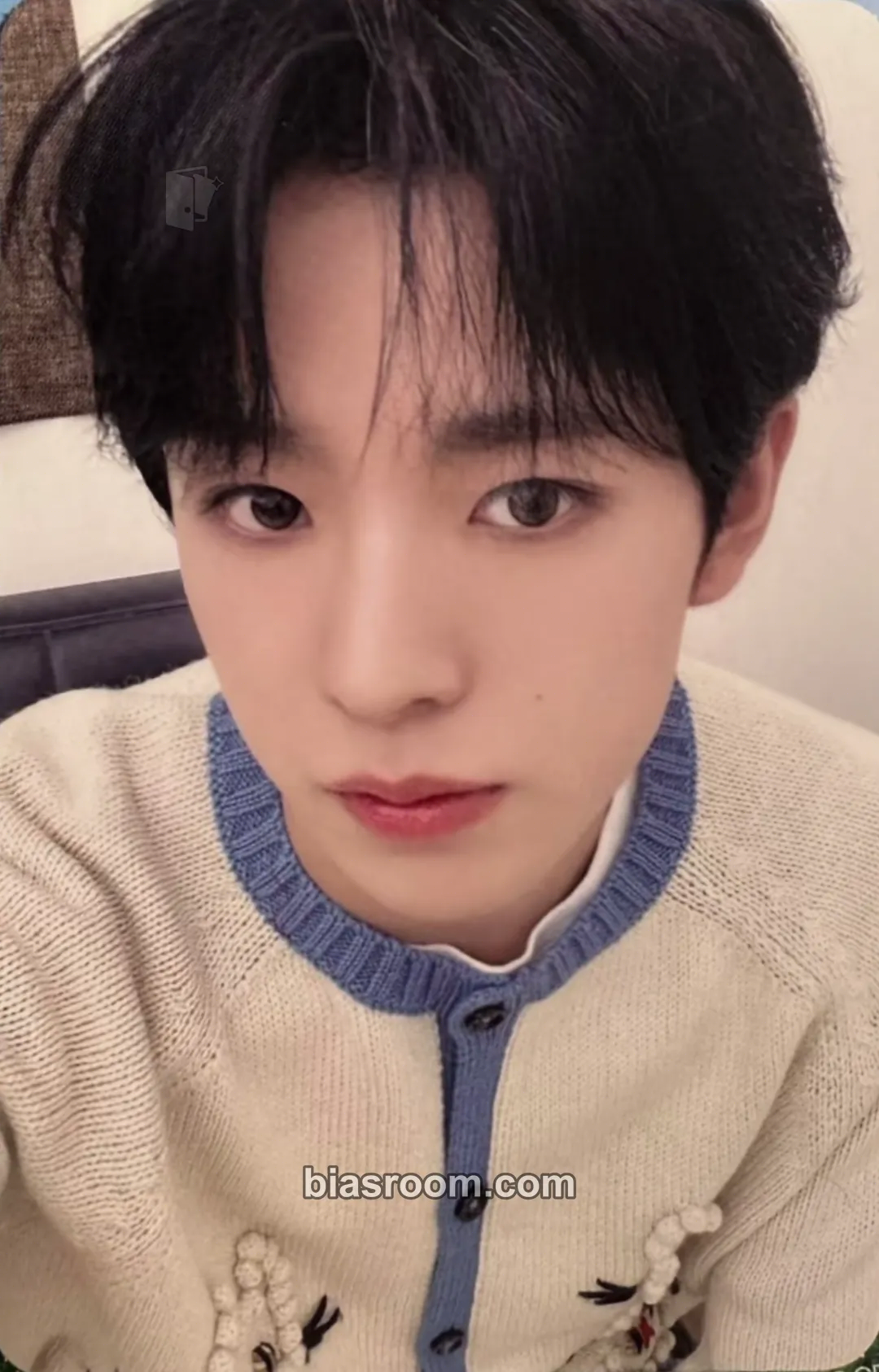 Yushi Steady MD Photocard - NCT WISH - NCT WISH K-pop photocard