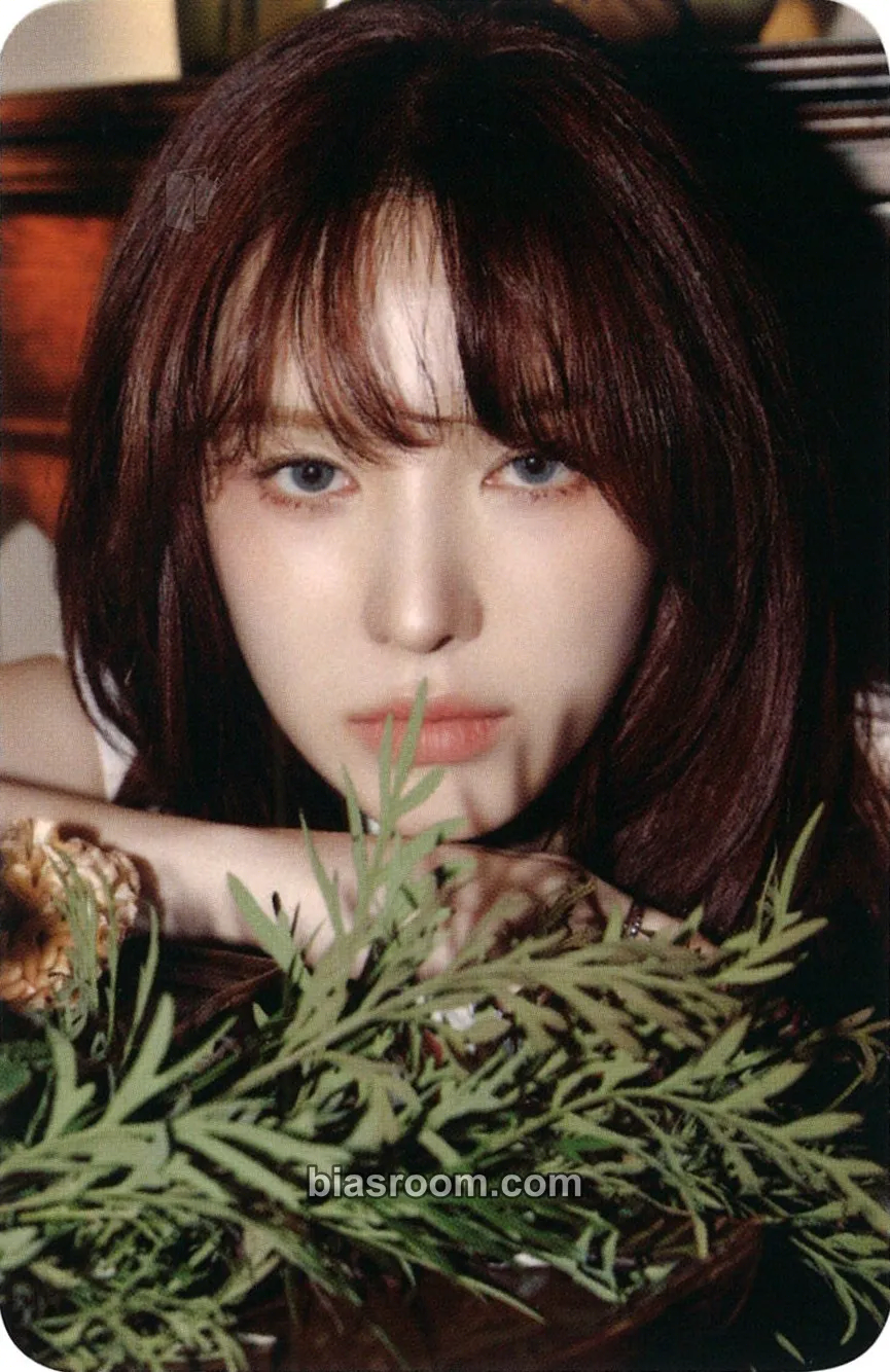 Wendy The ReVe Festival 2022 – Birthday Photocard - Red Velvet - Red Velvet K-pop photocard
