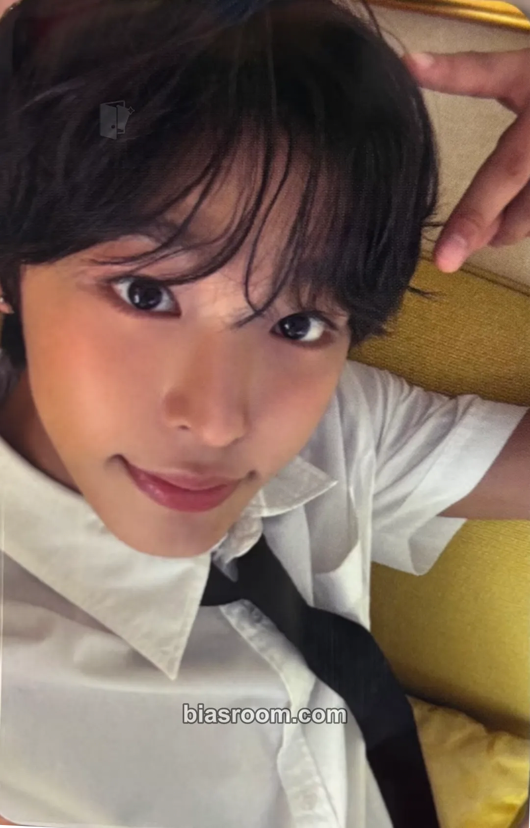 Riku Steady Photocard - NCT WISH - NCT WISH K-pop photocard