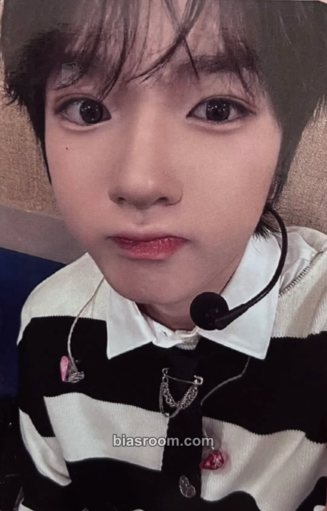 Sakuya Steady Photocard - NCT WISH - NCT WISH K-pop photocard