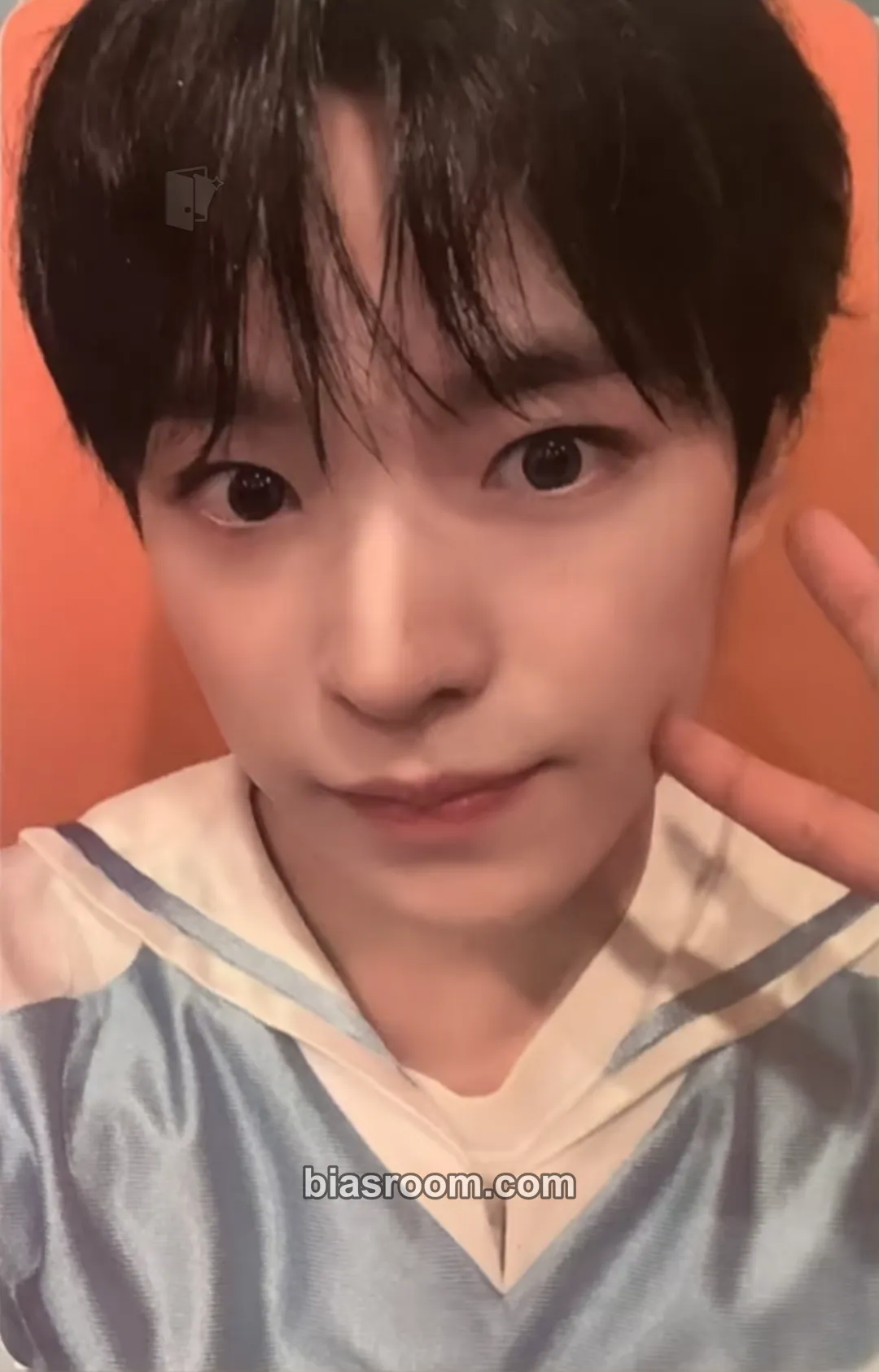 Yushi Steady Photocard - NCT WISH - NCT WISH K-pop photocard