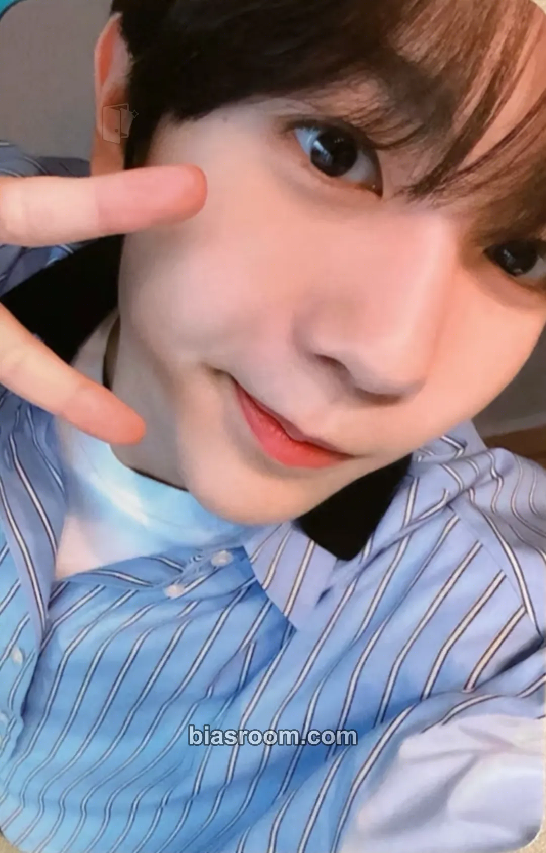 Ryo Songbird Photocard - NCT WISH - NCT WISH K-pop photocard