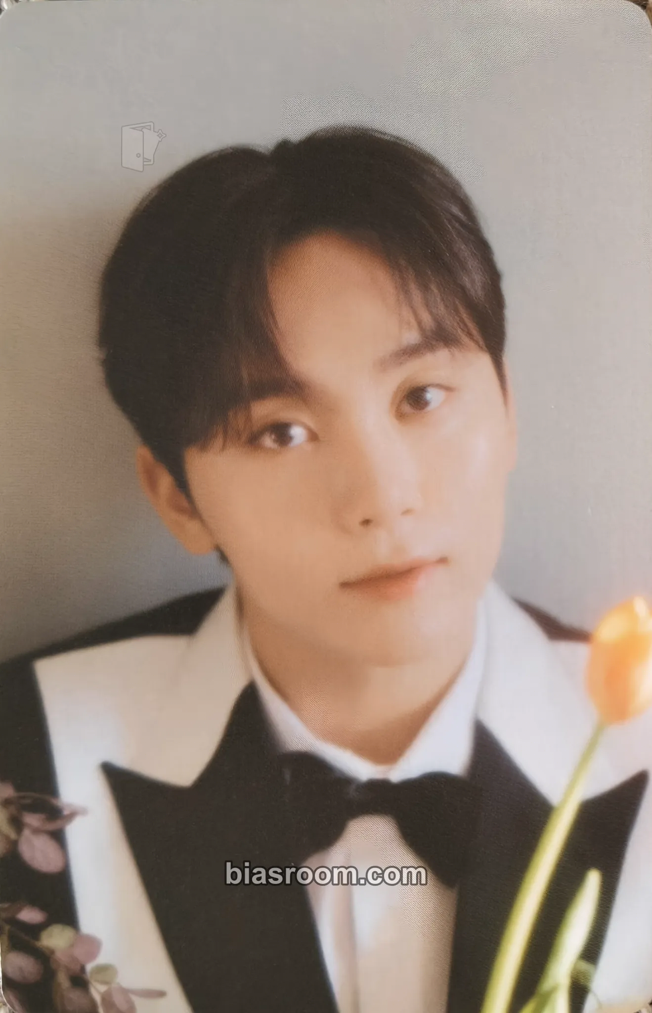 Seungkwan FML Photocard - SEVENTEEN - SEVENTEEN K-pop photocard