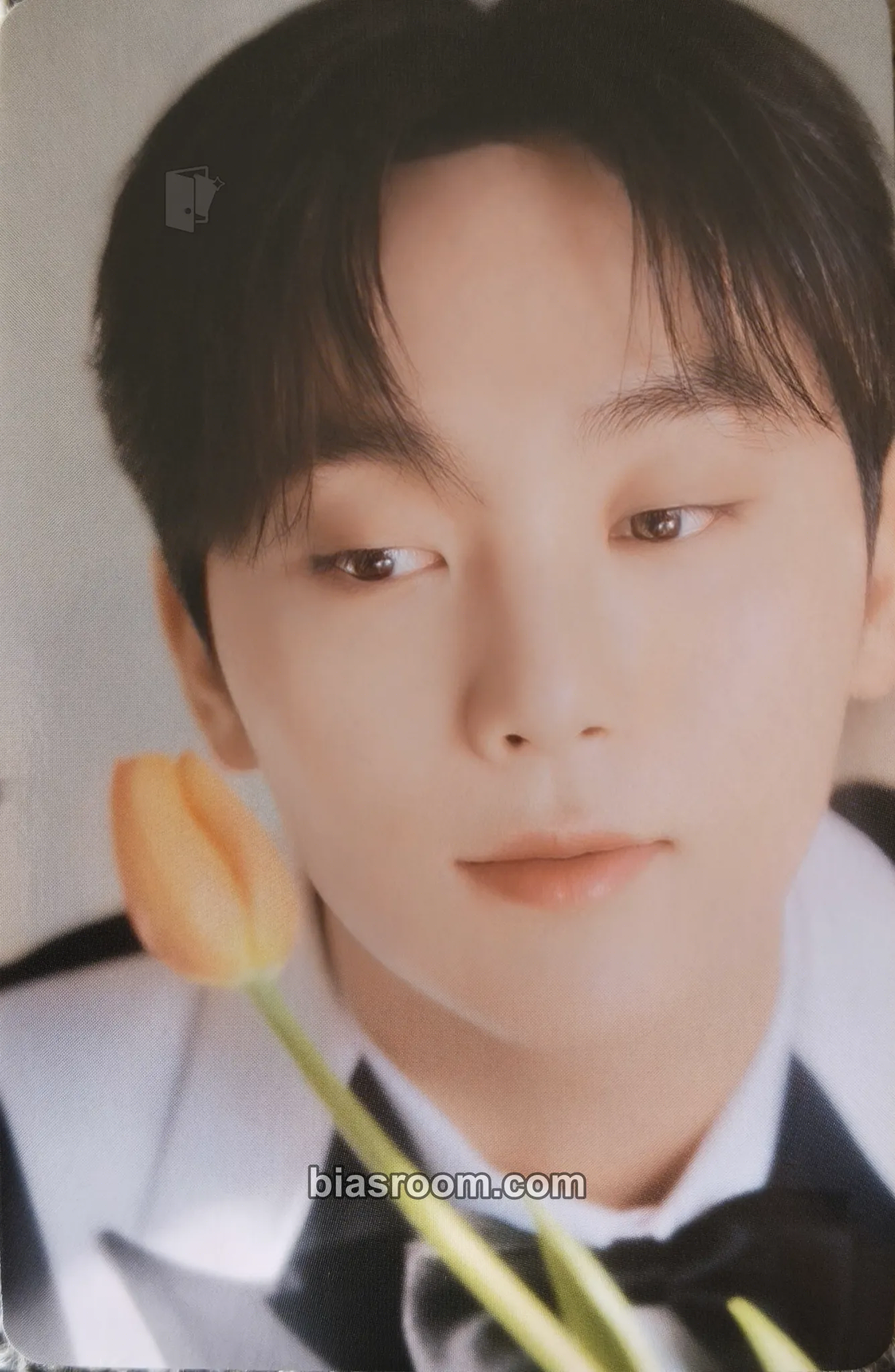 Seungkwan FML Photocard - SEVENTEEN - SEVENTEEN K-pop photocard