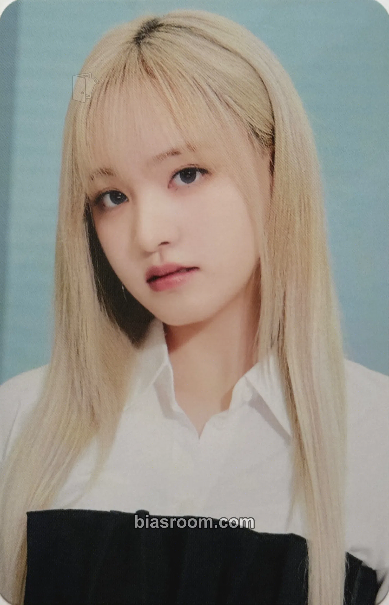 Liz IVE The 1st World Tour : Show What I Have Photocard - IVE - IVE K-pop photocard