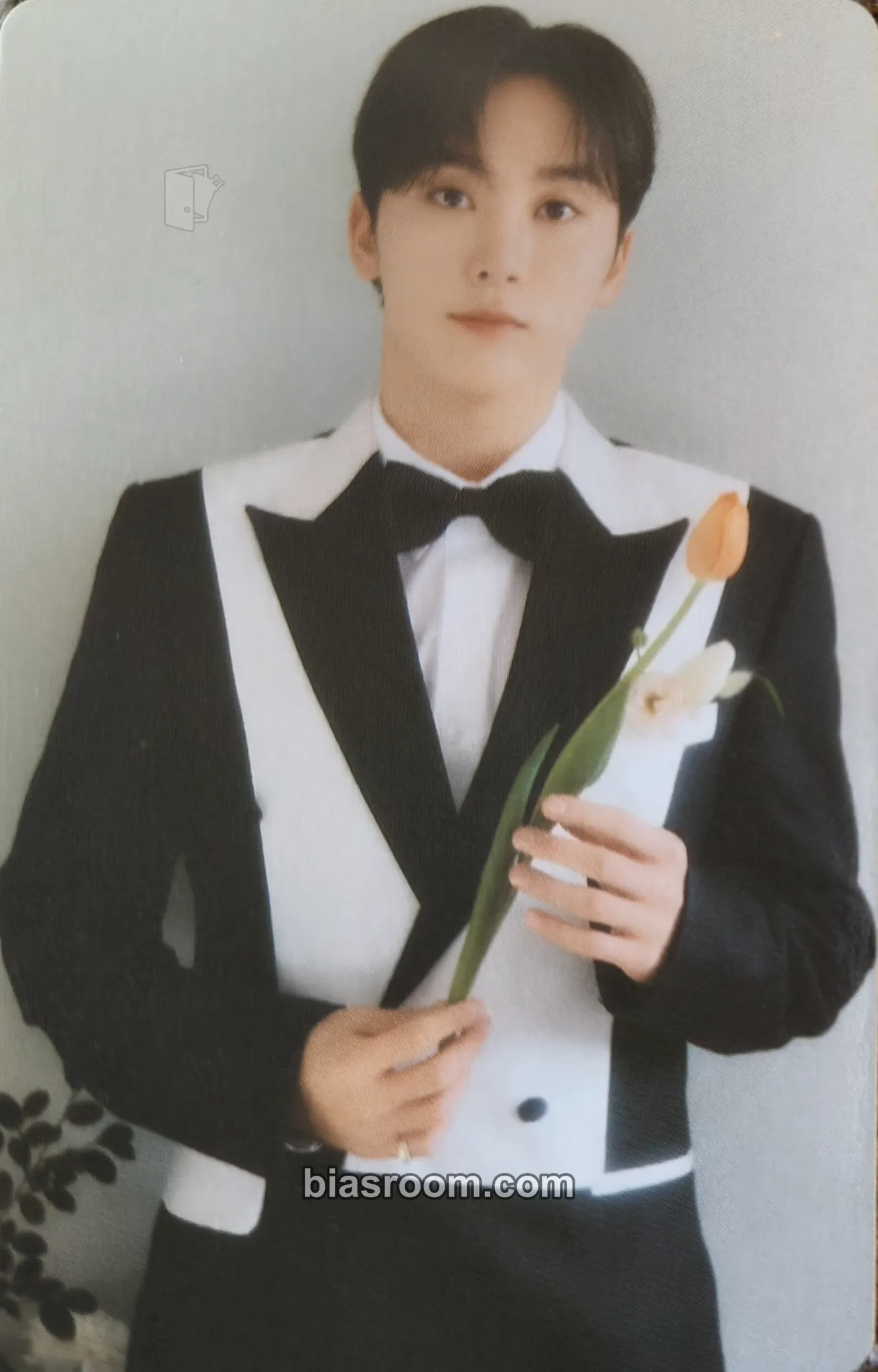 Seungkwan FML Photocard - SEVENTEEN - SEVENTEEN K-pop photocard