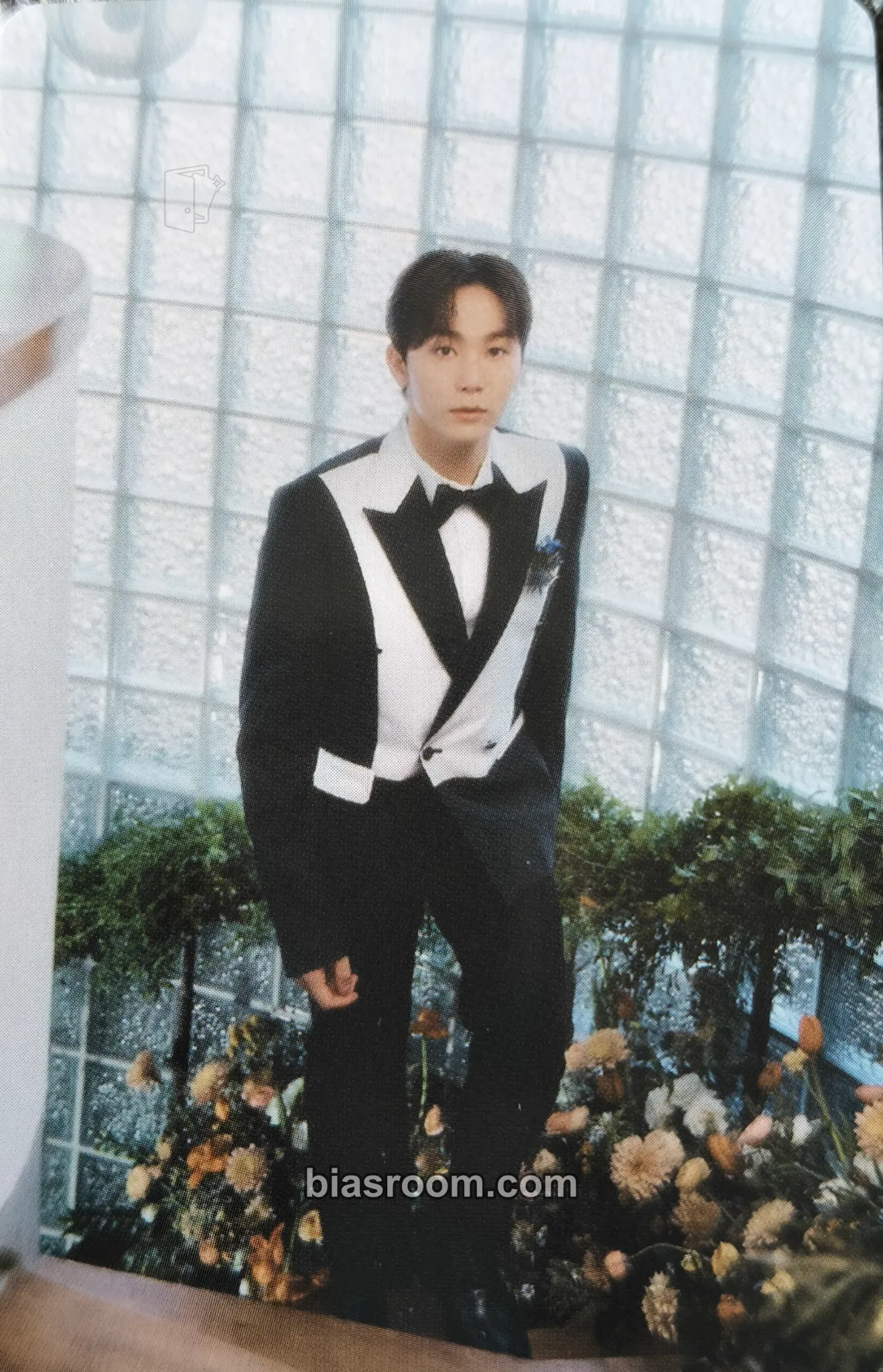 Seungkwan FML Photocard - SEVENTEEN - SEVENTEEN K-pop photocard