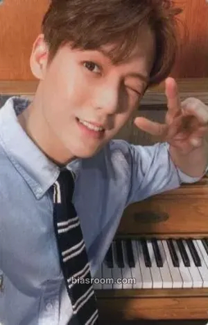 Minhyuk WIND AND WISH Photocard - BTOB - BTOB K-pop photocard