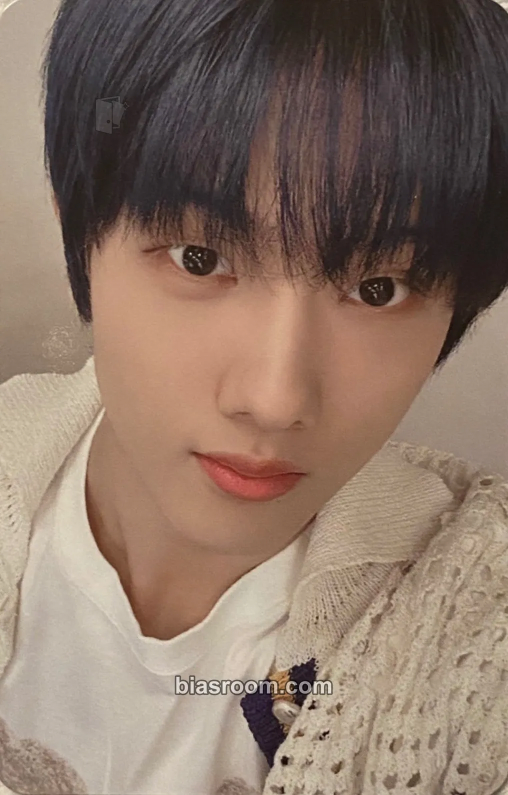 Jisung ISTJ MD Photocard - NCT DREAM - NCT DREAM K-pop photocard