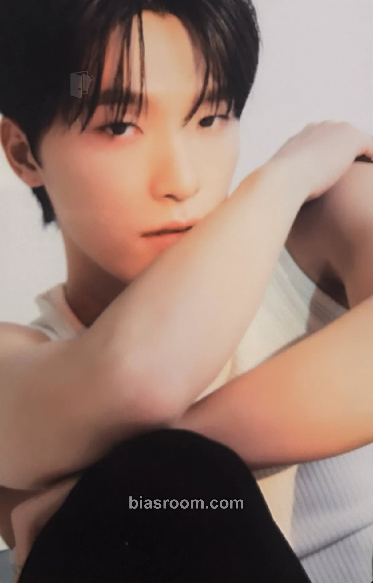 Dino 17 IS RIGHT HERE Photocard - SEVENTEEN - SEVENTEEN K-pop photocard