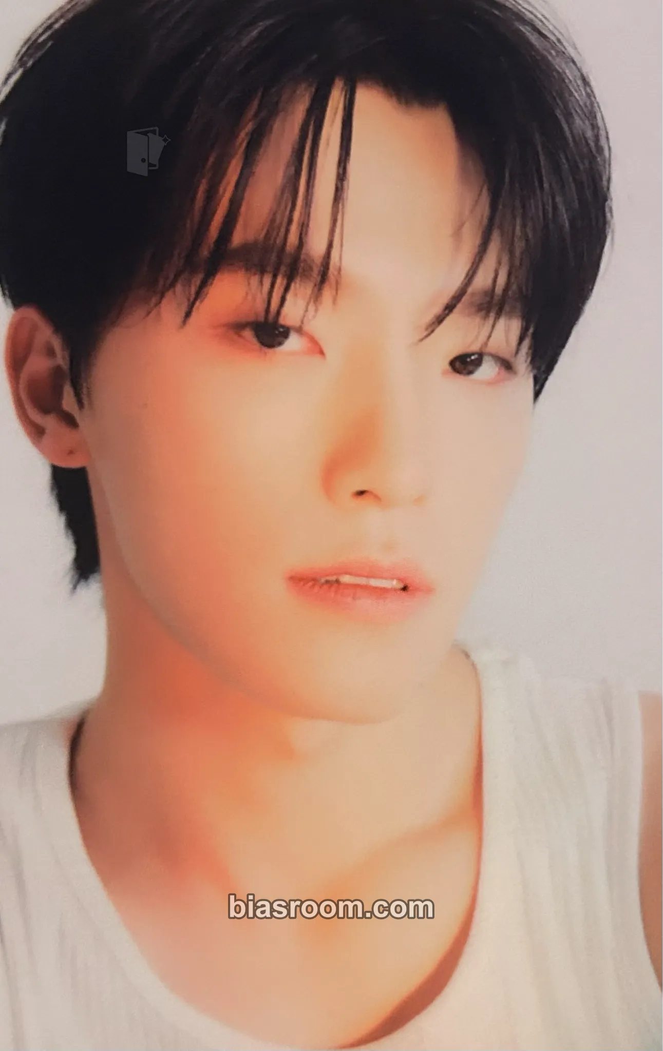 Dino 17 IS RIGHT HERE Photocard - SEVENTEEN - SEVENTEEN K-pop photocard