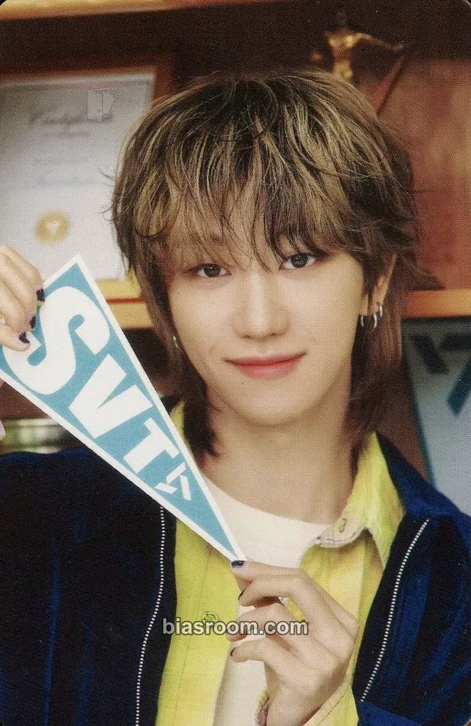 The8 2025 9TH SVT IN CARAT LAND Photocard - SEVENTEEN - SEVENTEEN K-pop photocard