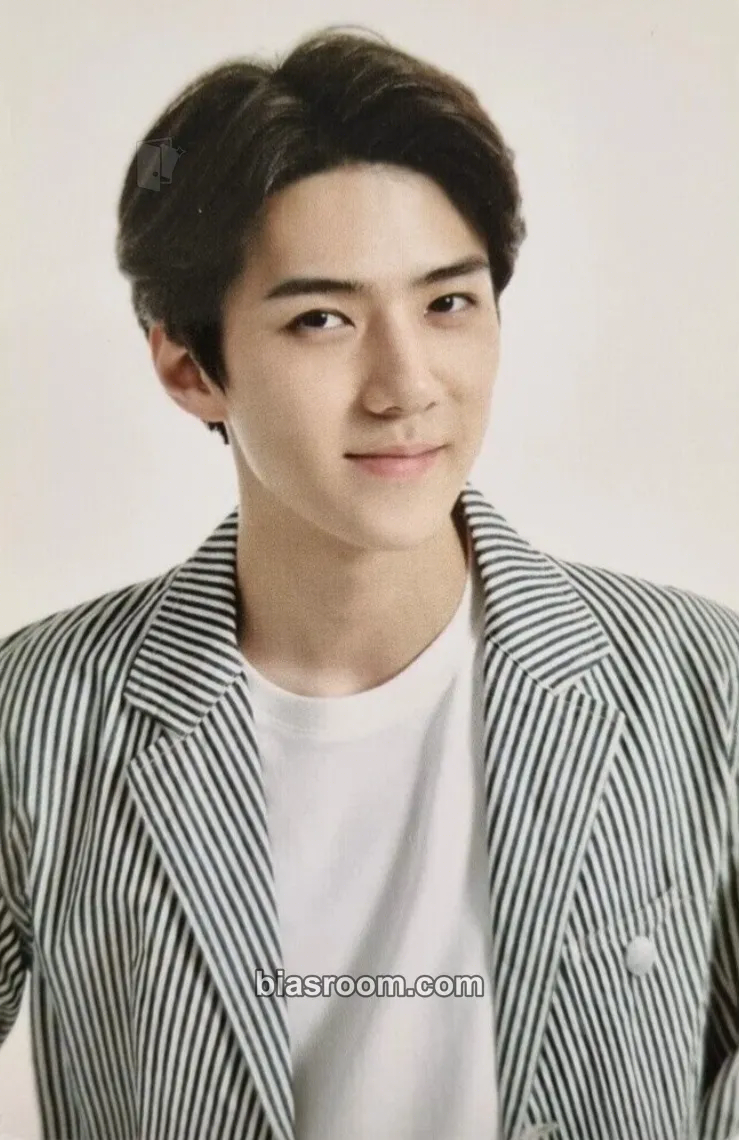 Sehun 2015 EXO-Love CONCERT in DOME Photocard - EXO - EXO K-pop photocard