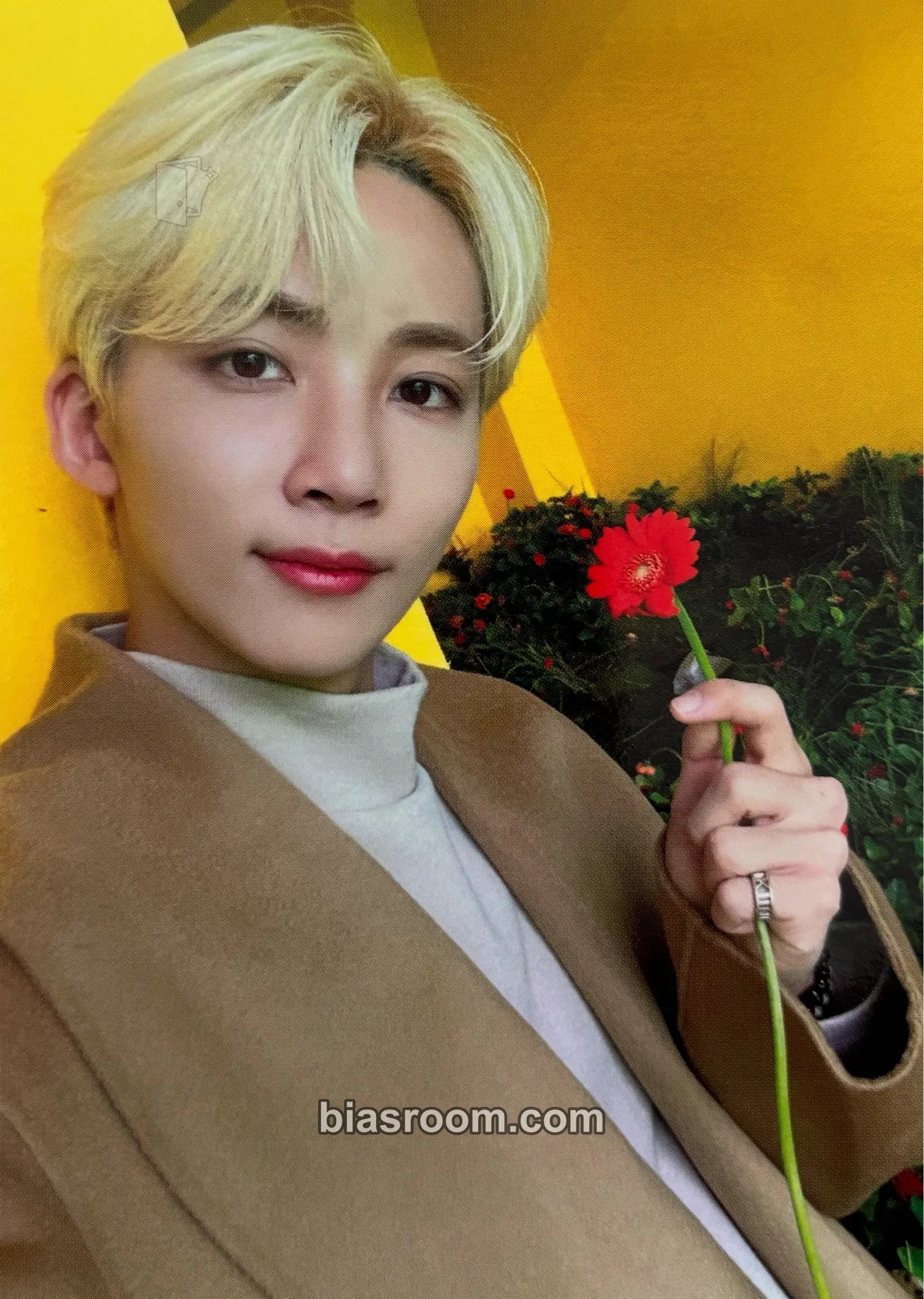 Jeonghan Power of Love Photocard - SEVENTEEN - SEVENTEEN K-pop photocard