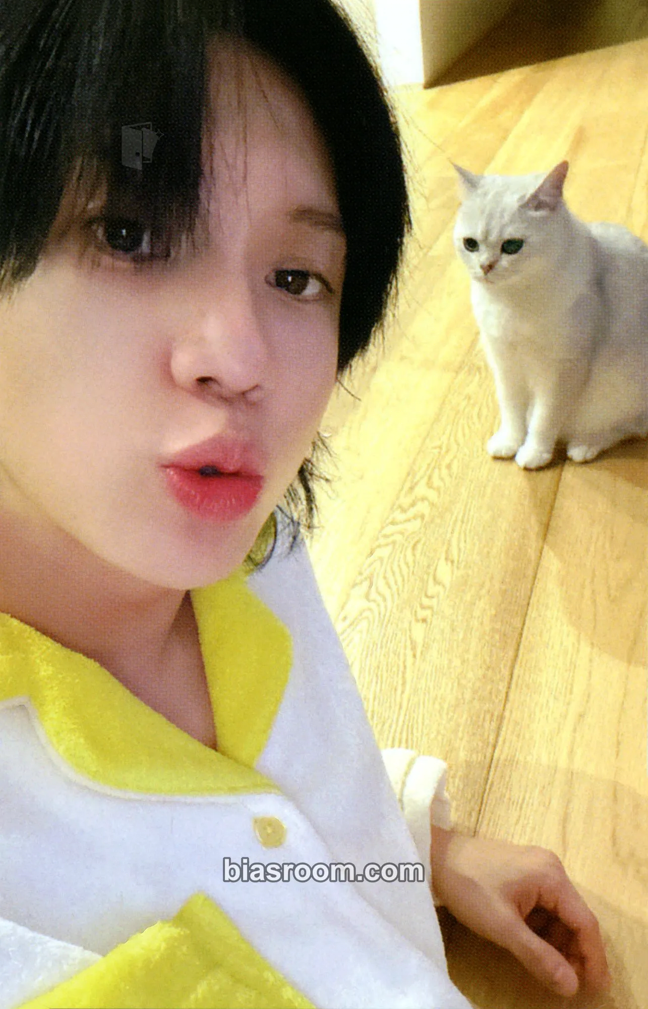 Taemin Taemin 5th Concert: Metamorph Photocard - Taemin K-pop photocard